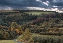 Популярные скалы в NRW оказались древним святилищем