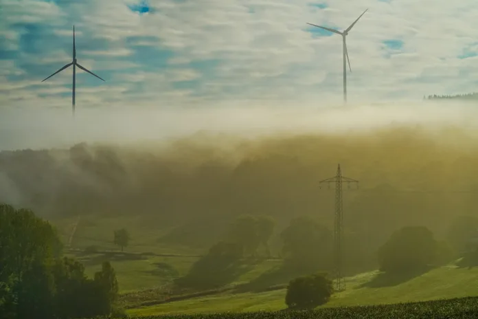 44678735401_ffa2fbf2cd_b