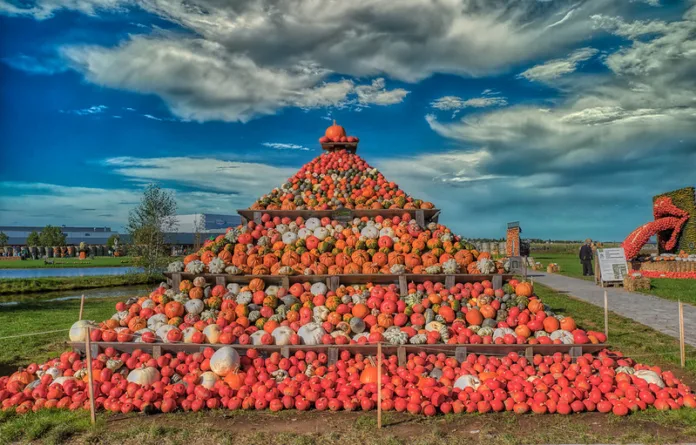 NRW's largest Pumpkin show at Krewelshof Eifel