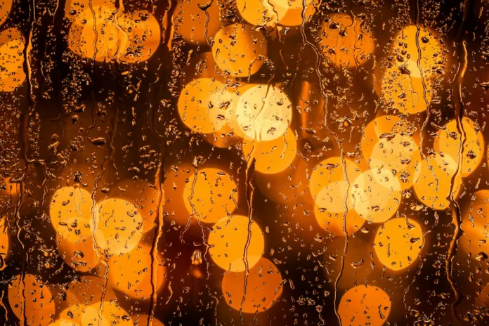 rainy day bokeh